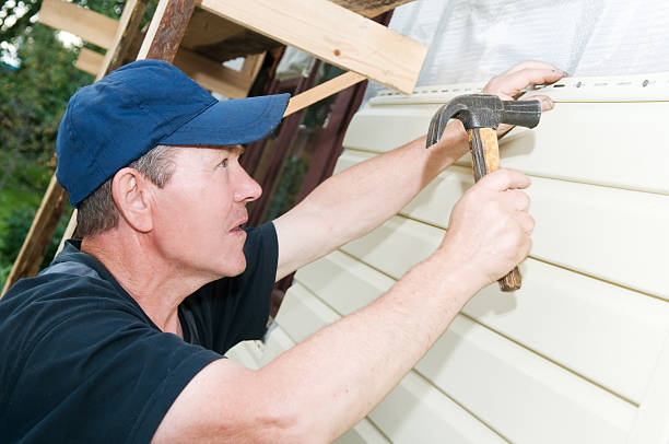 Best Custom Trim and Detailing for Siding  in Millville, NJ