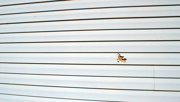 Best Custom Trim and Detailing for Siding  in Millville, NJ