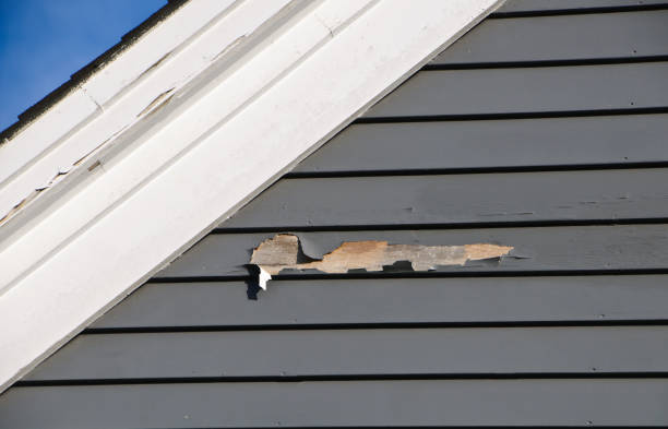 Best Fiber Cement Siding Installation  in Millville, NJ