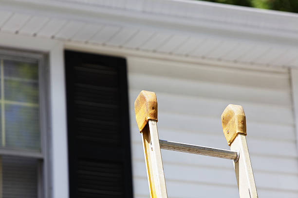 Best Storm Damage Siding Repair  in Millville, NJ