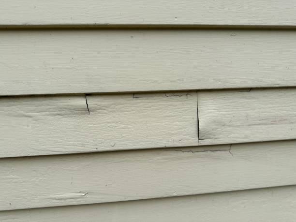 Best Stone Veneer Siding  in Millville, NJ