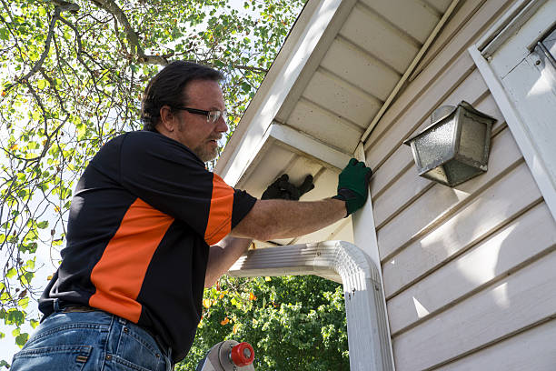 Best Siding Painting and Refinishing  in Millville, NJ